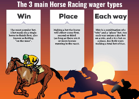 ibc003 online horse betting wager